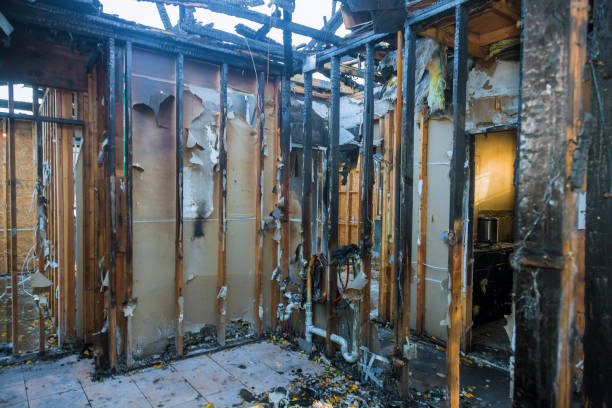 Professional Soot Cleanup technician working in Haviland, NY
